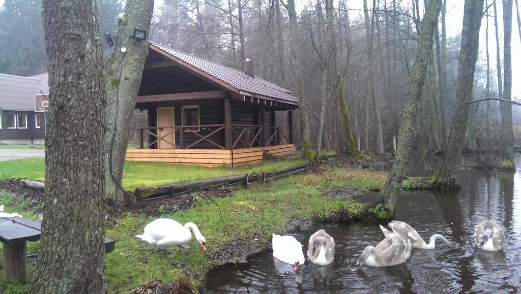 Hostal Poilsio Baze Latežeris Exterior foto
